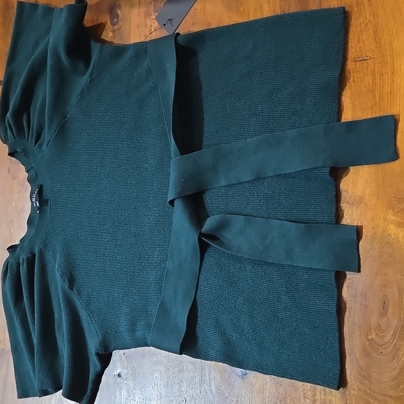 NWT Eloquii Forest Green Sweater 1X - Picture 1 of 8